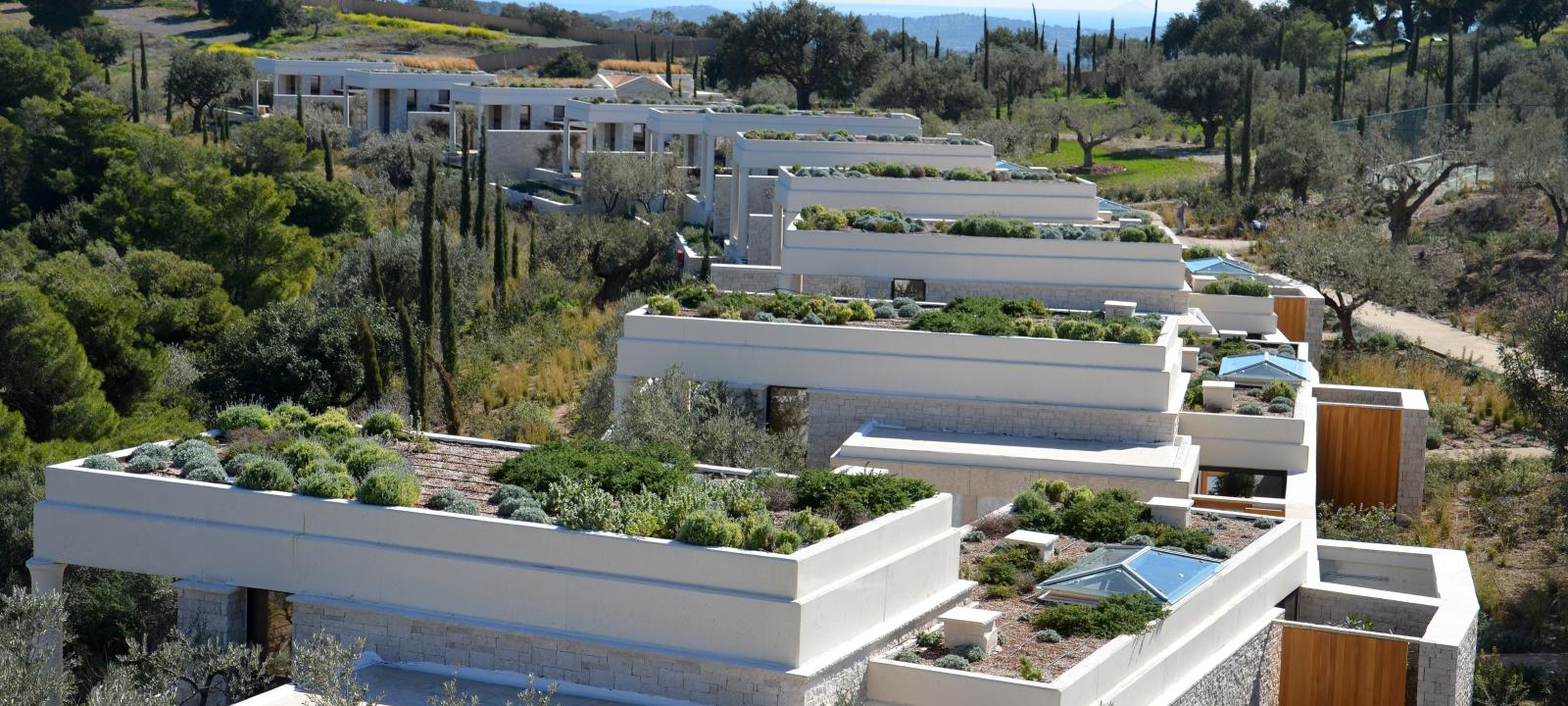 Several small houses with reen roofs vegetated with lavender and other herbs